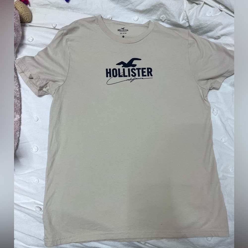 Hollister, Large, Brown